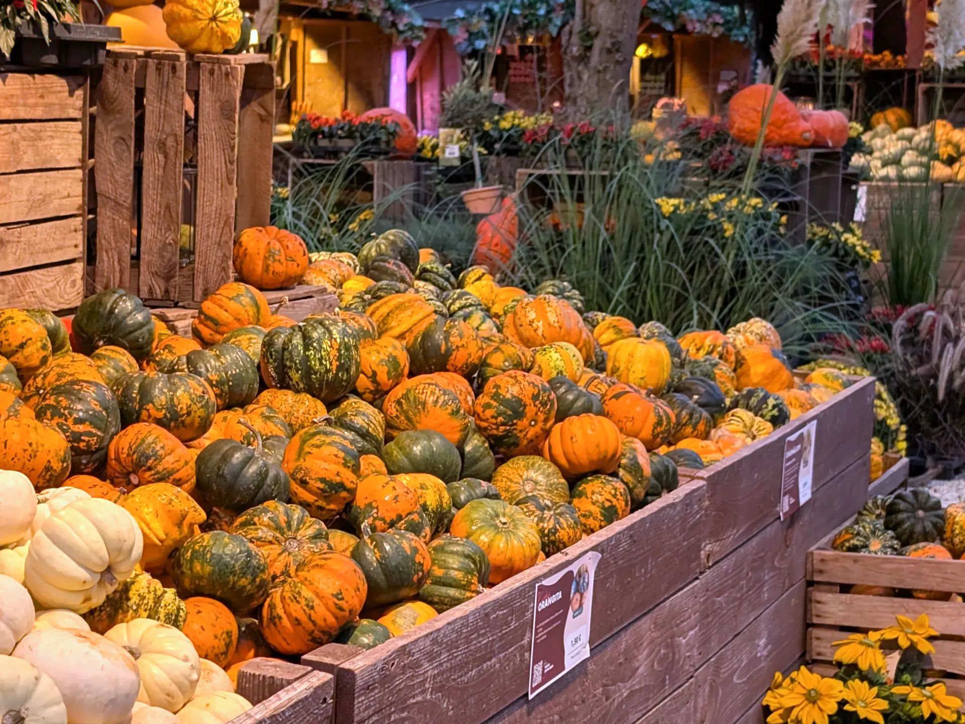 Pumpkin Selling Stand