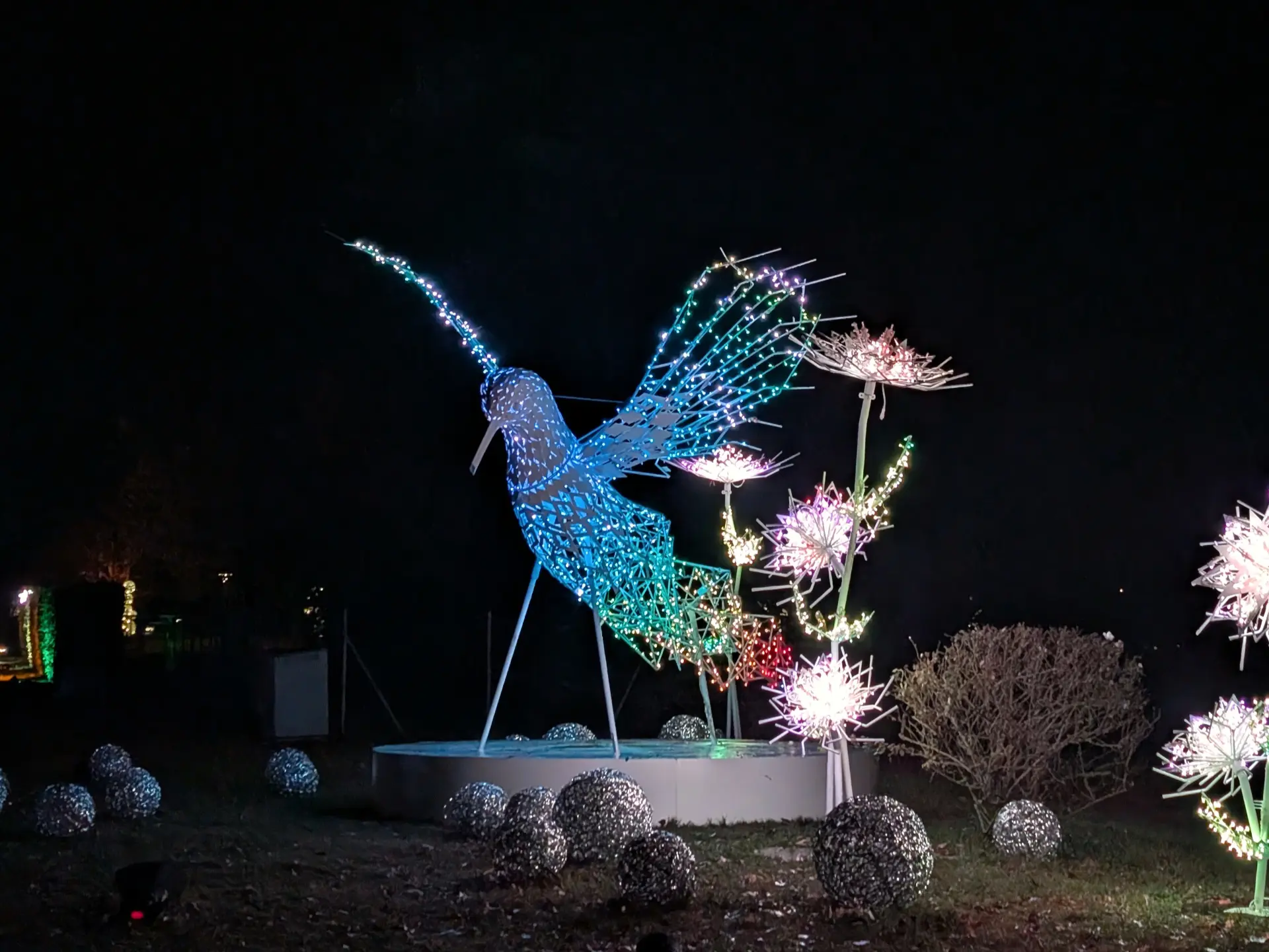 Ein Vogel neben Lichter-Blumen