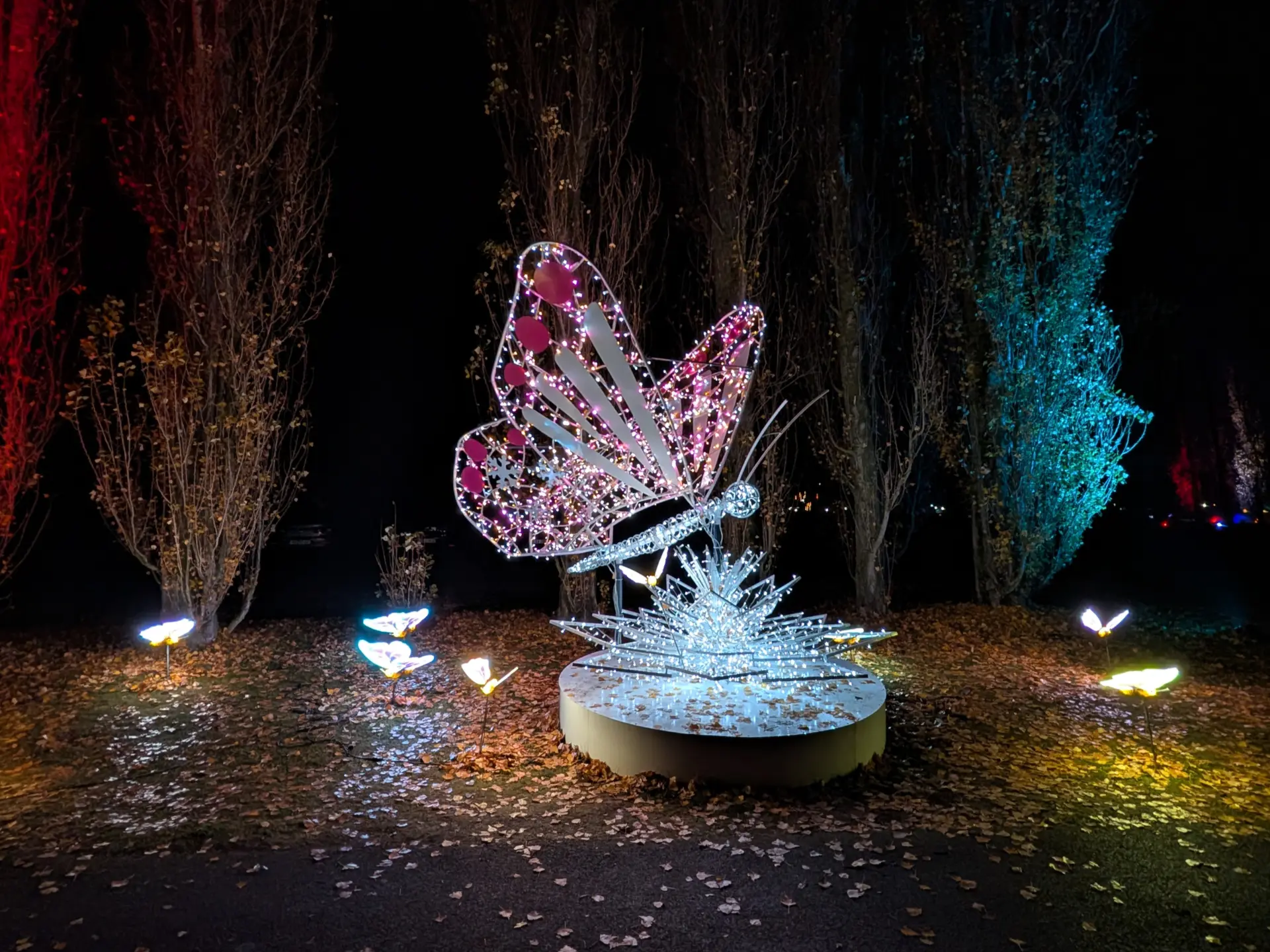 Ein Schmetterling auf einem Lichter-Podest