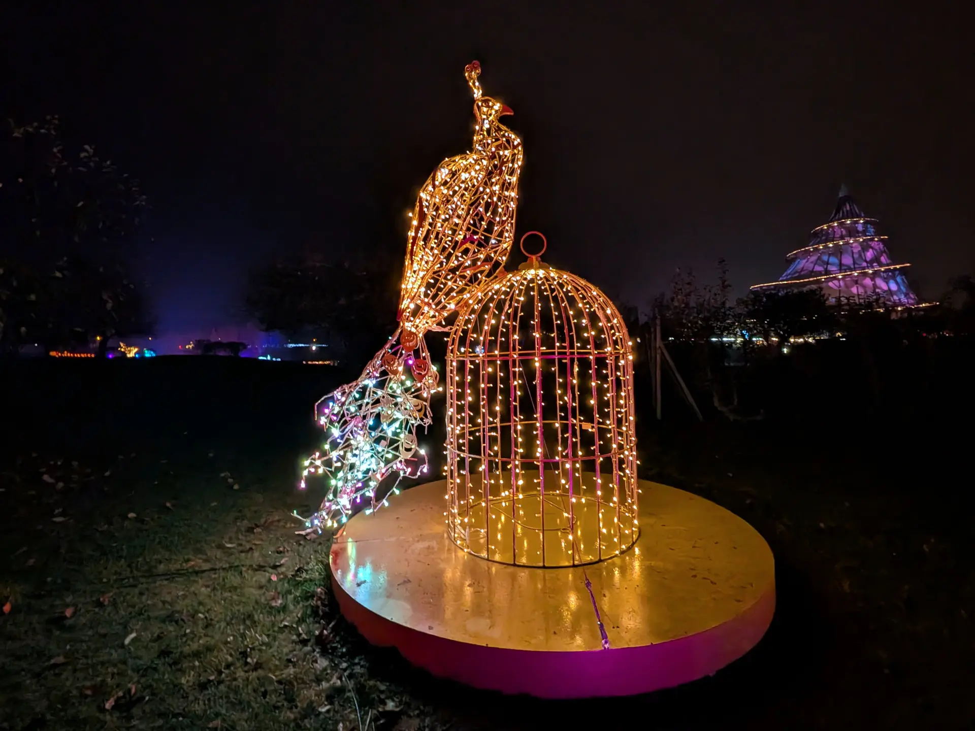 Ein Pfau sitzt auf einem Käfig