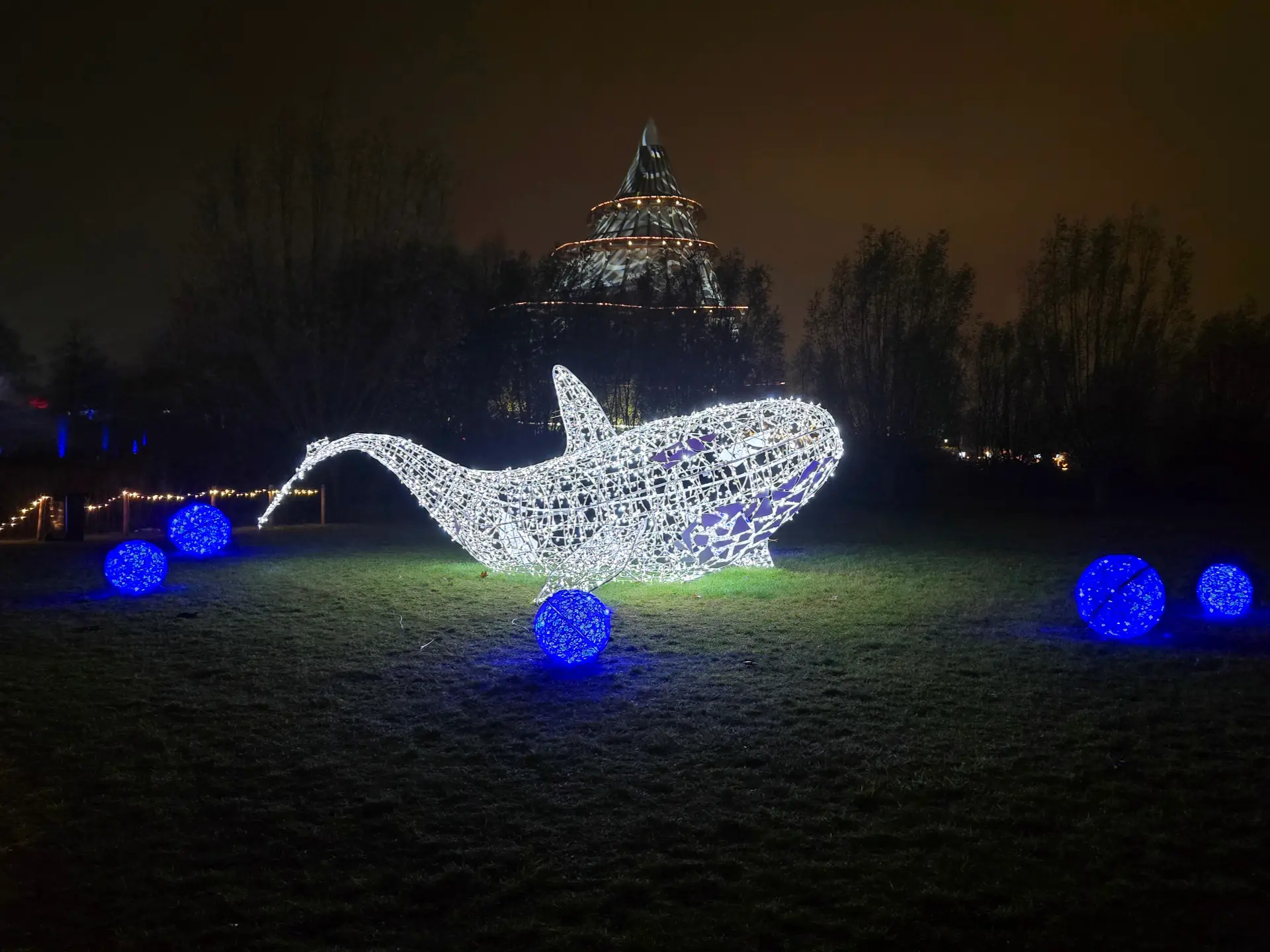 Ein Wal auf der Wiese