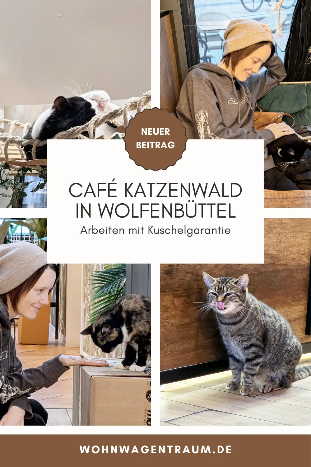 Café Katzenwald in Wolfenbüttel: Arbeiten mit Kuschelgarantie