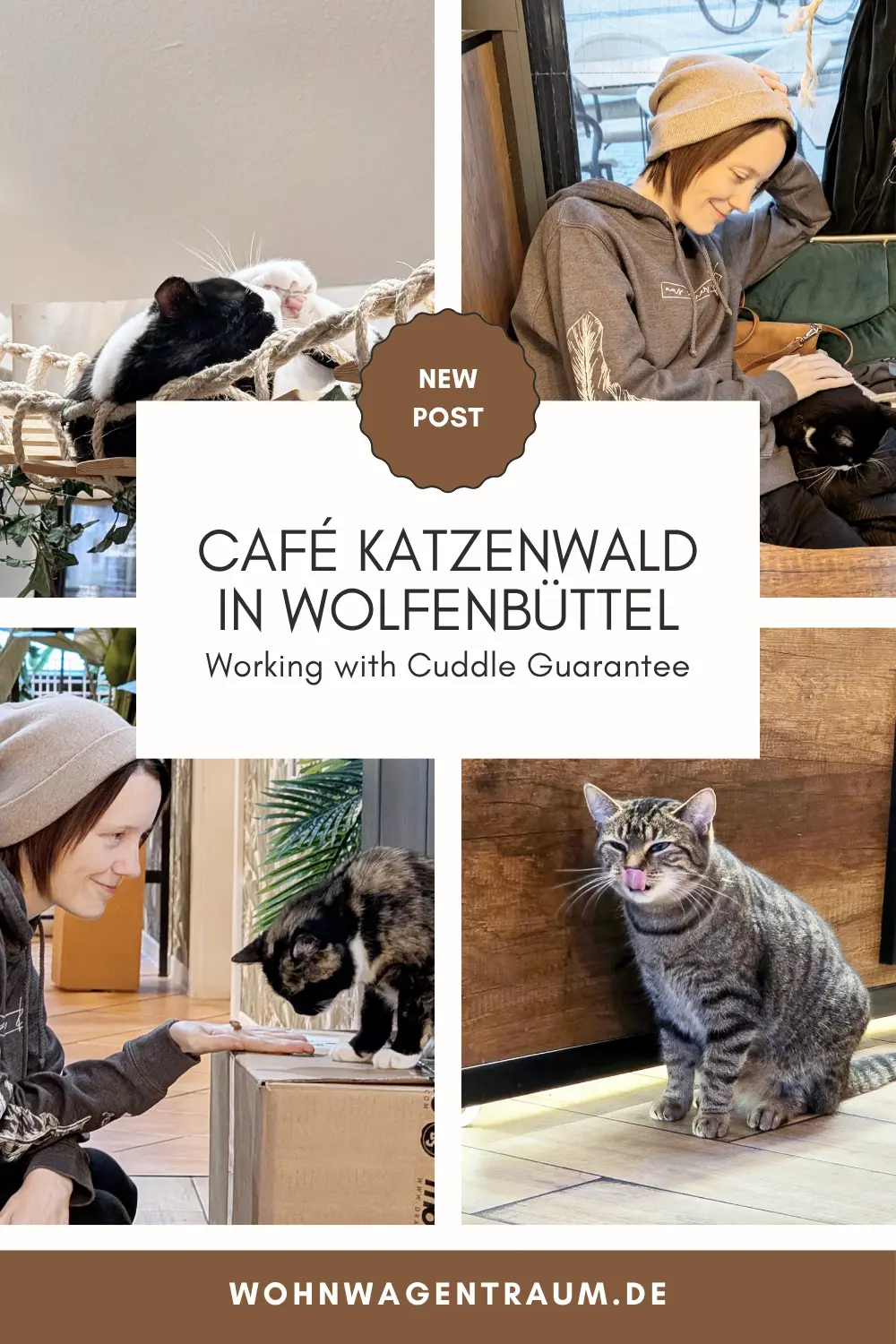 Café Katzenwald in Wolfenbüttel: Working with Cuddle Guarantee
