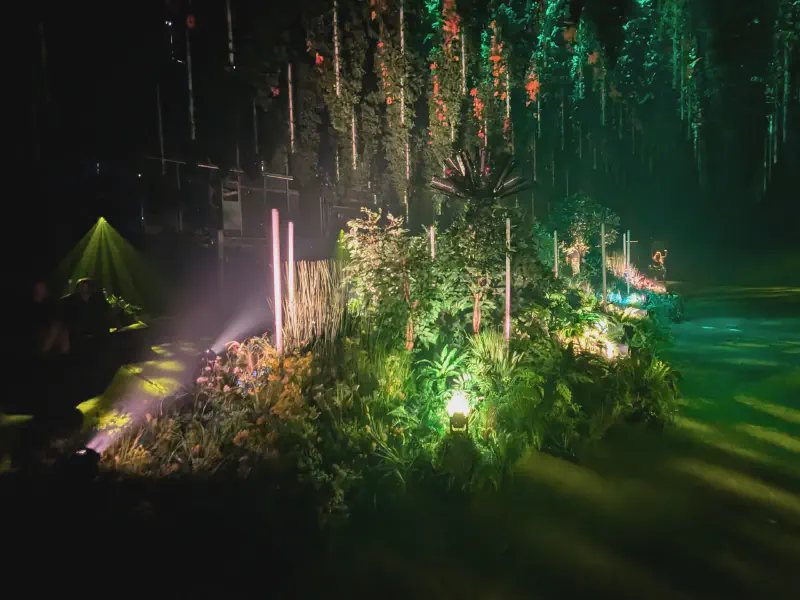 Colourful lights over a lush bed of plants
