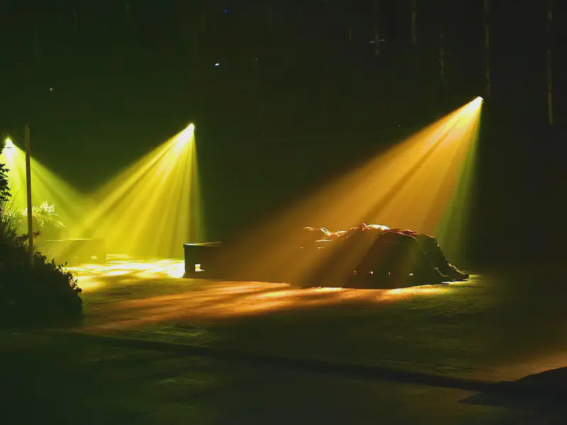 Golden rays of light over the dark forest floor