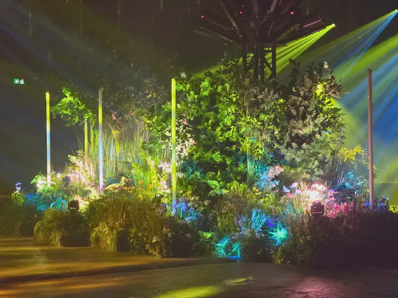 Yellow beams over green plants