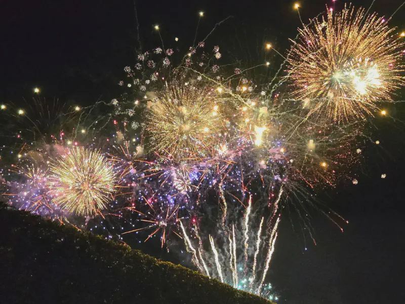 Dense golden fireworks above the hedge
