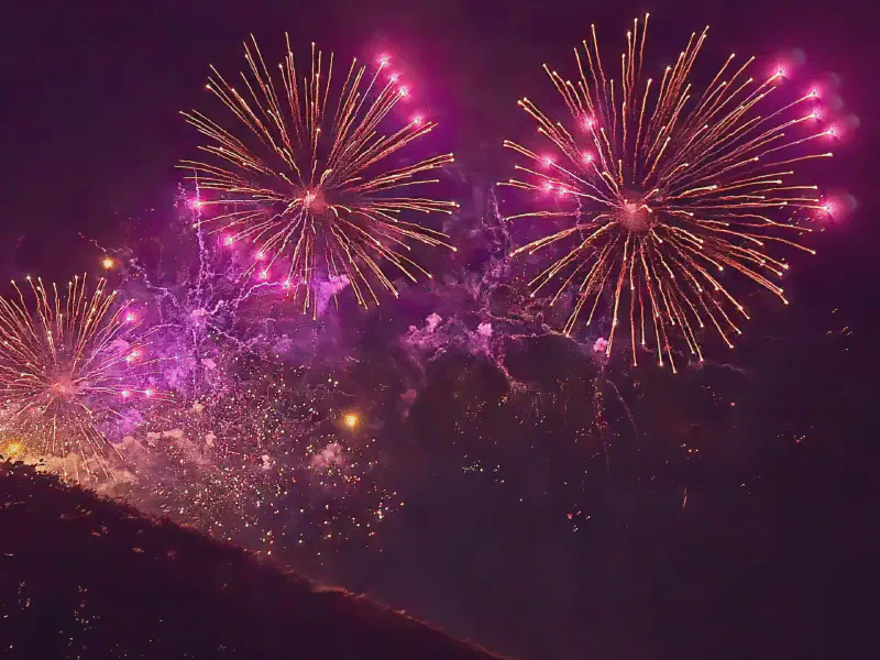 Huge pink firework blooms with golden rays