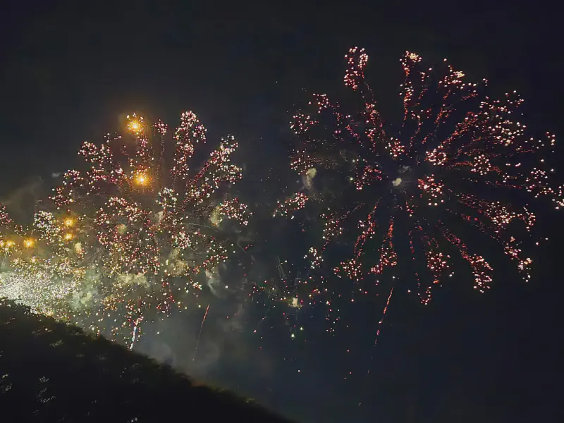 Red and golden firework blooms in the sky