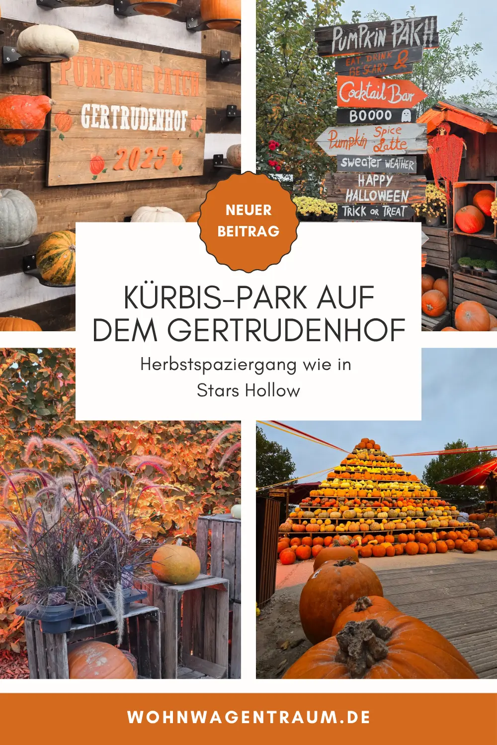 Kürbis-Park auf dem Gertrudenhof - Herbstspaziergang wie in Stars Hollow