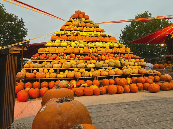 Eine ca. 4m hohe Kürbis-Pyramide