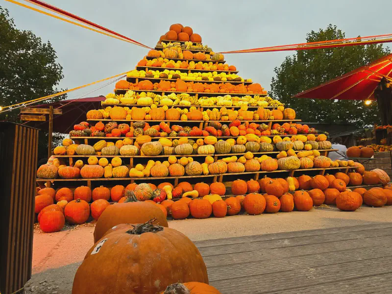 Eine ca. 4m hohe Kürbis-Pyramide