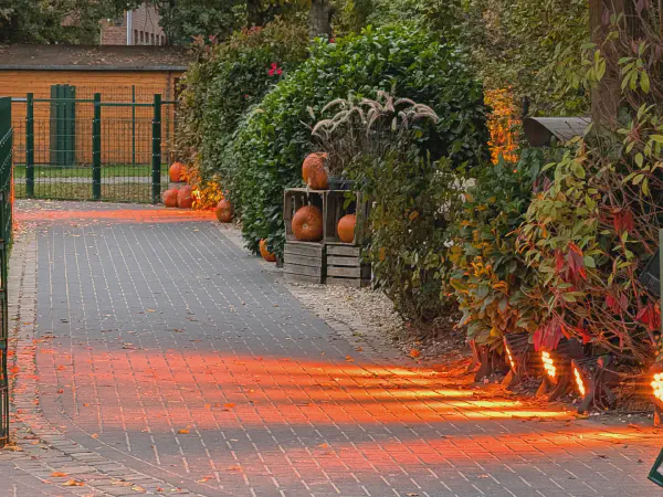Beleuchteter Gehweg mit Kürbis-Deko