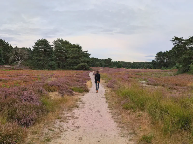 Gina in der weiten Heide