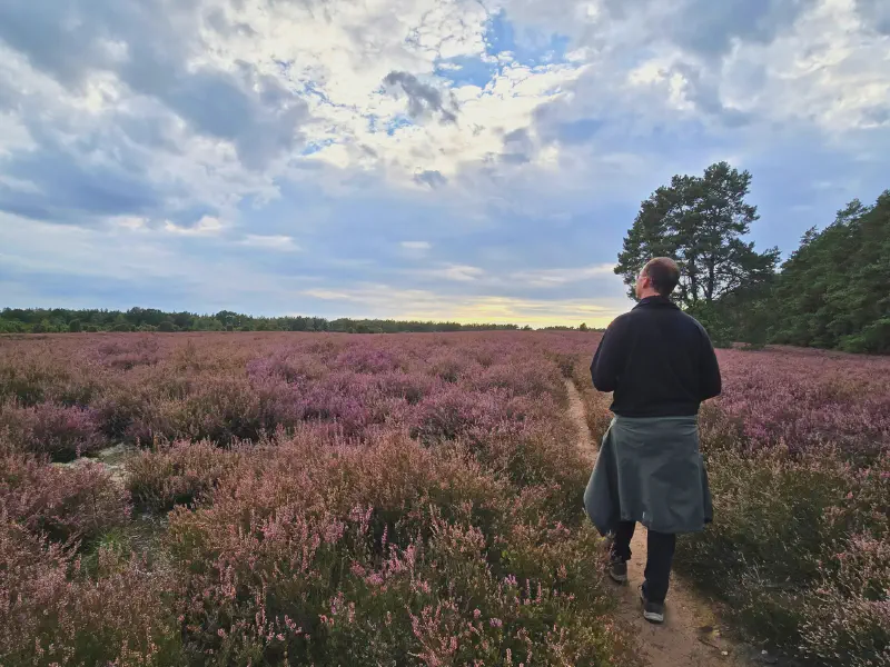 Oli looking out over the vast heath