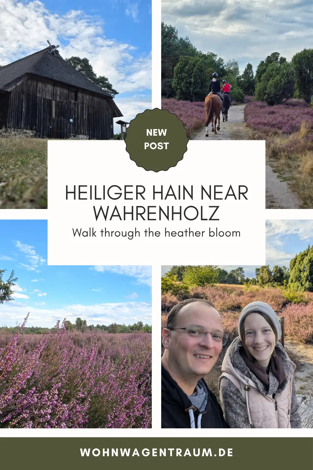 Heiliger Hain near Wahrenholz: Our walk straight through the heather bloom