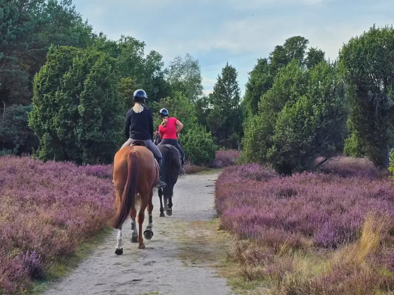 Two riders on the sandy path