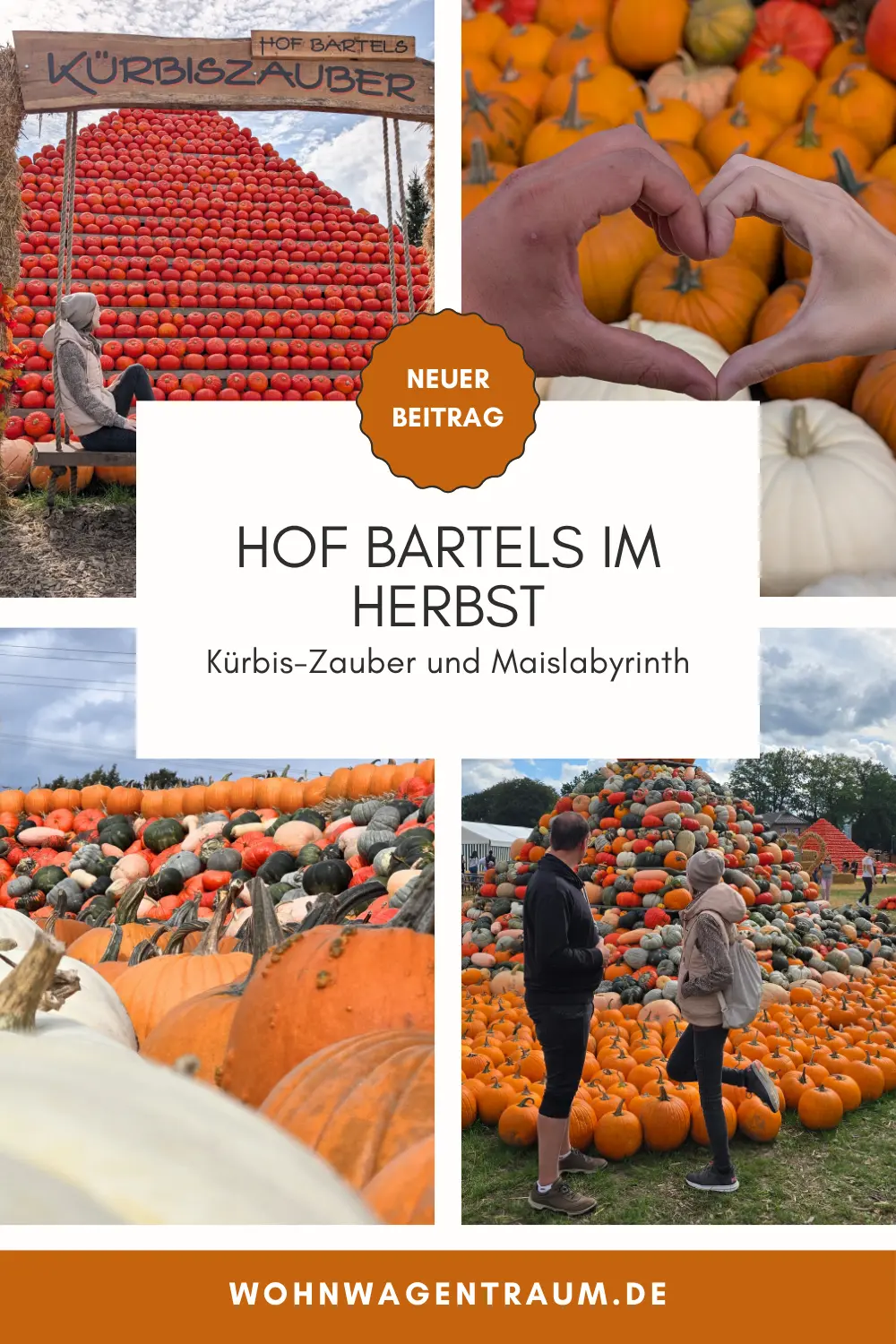Hof Bartels im Herbst: Kürbis-Zauber, Maislabyrinth & unsere Erfahrung