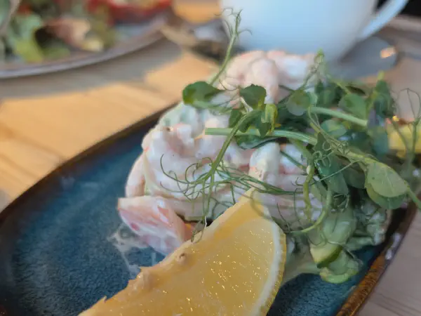 Shrimp-Cocktail Salat mit Avocado - Sehr lecker