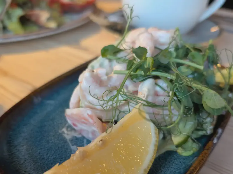 Shrimp-Cocktail-Salat mit Avocado - Sehr lecker