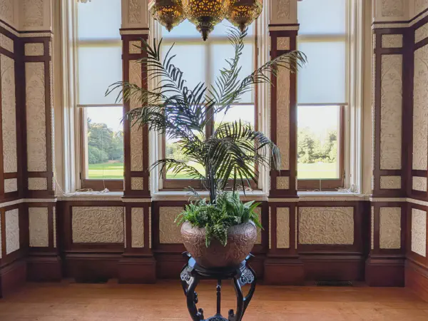 Hier haben selbst die Pflanzen Luft zum Atmen