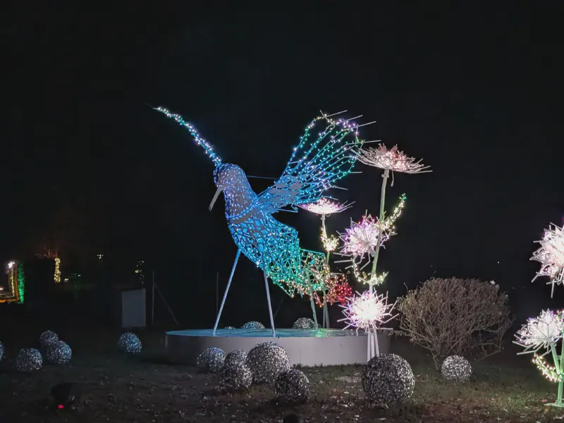 A bird next to light flowers