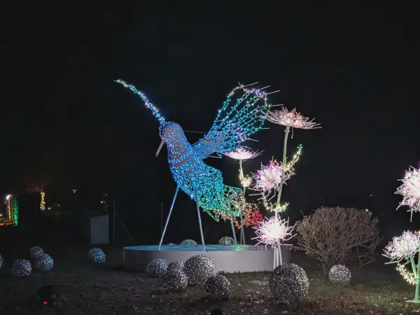 Ein Vogel neben Lichter-Blumen