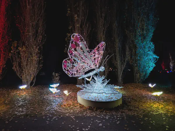 Ein Schmetterling auf einem Lichter-Podest