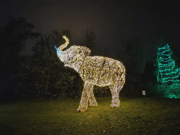 Figure eines Elephanten