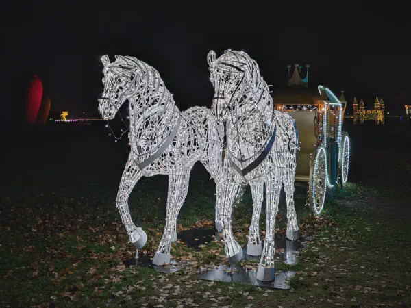 Zwei Pferde ziehen eine Kutsche