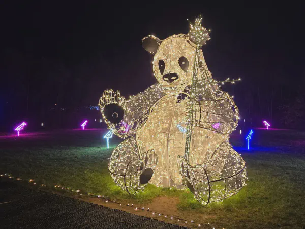 Ein Panda sitzt mit Bambus