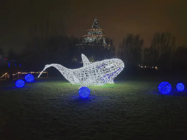 Ein Wal auf der Wiese