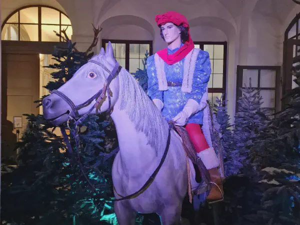 Ein Reiter auf einem Pferd