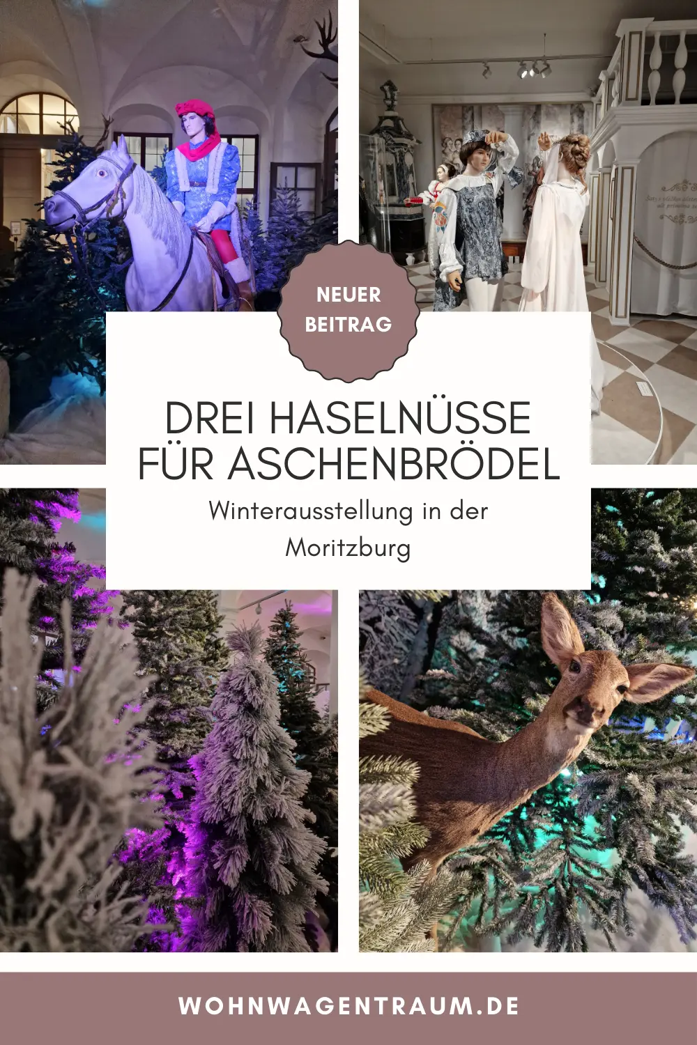 Drei Haselnüsse für Aschenbrödel im Schloss Moritzburg